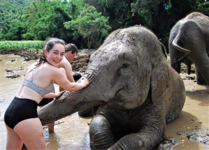 Chiangmai Elephant Home - 3 Days 2 Nights Elephant Experience - Elephant Mud Spa