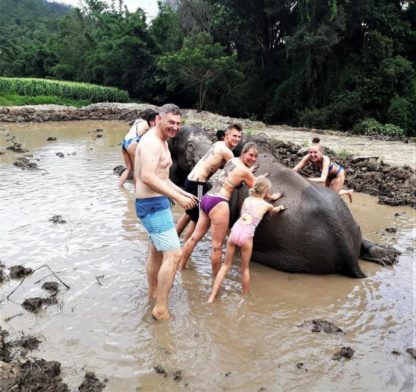 Chiangmai Elephant Home - Half Day Afternoon Elephant Experience - Elephant Mud Spa