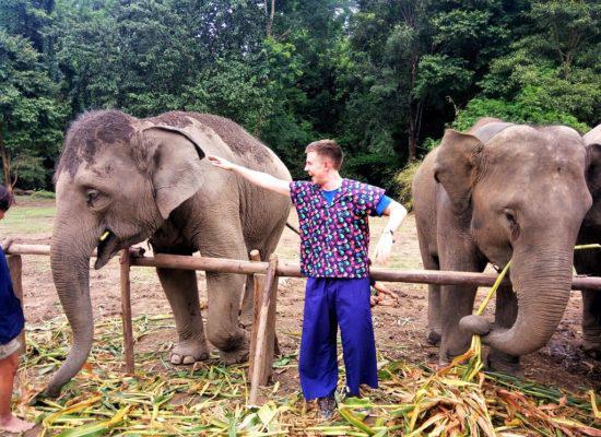 Chiangmai Elephant Home - One Day Hiking and Elephant Experience - Feeding Elephant