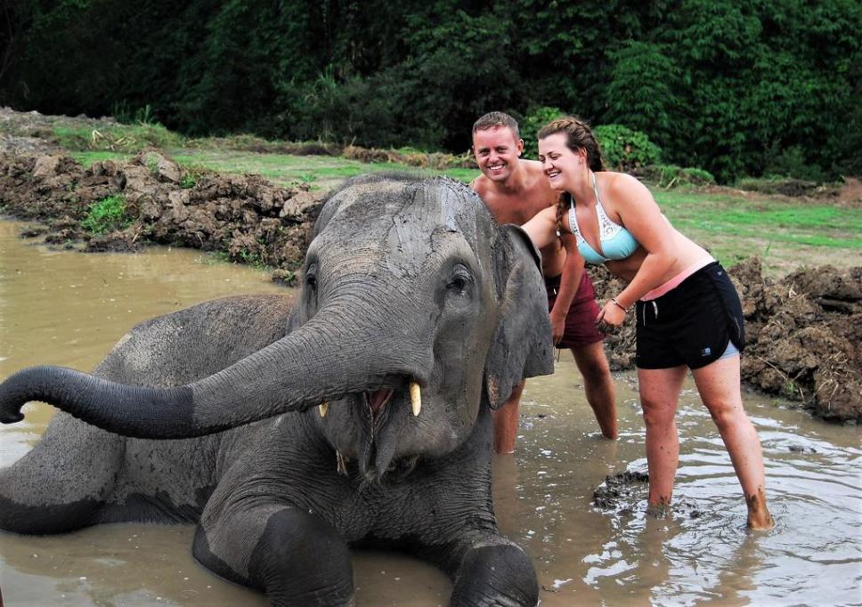 Chiangmai Elephant Home - One day Elephant Experience and ATV - Elephant Mud Spa