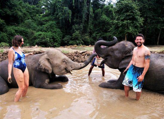 Chiangmai Elephant Home - One day Elephant Experience and Farmer - Elephant Mud Spa