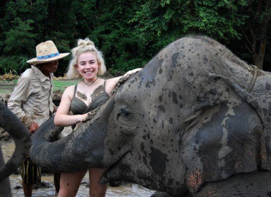 Chiangmai Elephant Home - One day Elephant Experience and Farmer - Elephant Mud Spa