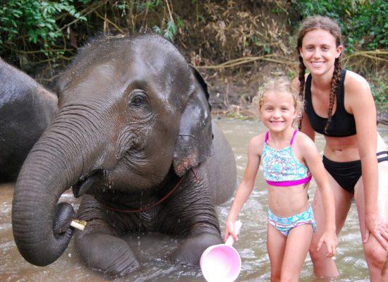 Chiangmai Elephant Home - One day Elephant Experience and Grand Canyon - Bathing your Elephant