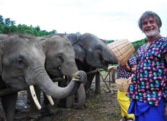 Chiangmai Elephant Home - One day Elephant Experience and Grand Canyon - Feeding your Elephant