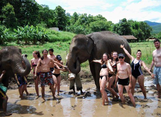 Chiangmai Elephant Home - One day Elephant Experience and Zipline - Elephants mud Spa
