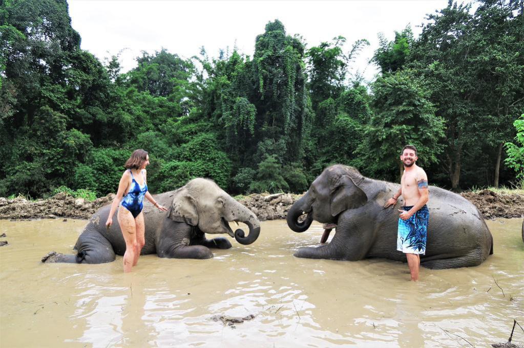 Chiangmai Elephant Home - 2 Days 1 Night Elephant Experience - Elephant Mud Spa