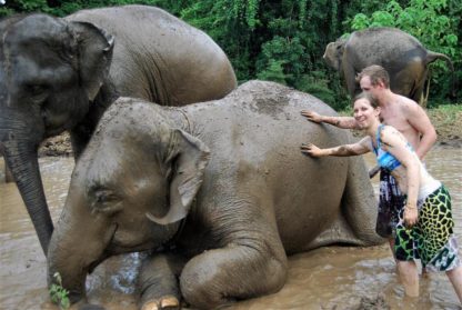 Chiangmai Elephant Home - 2 Days 1 Night Elephant Experience - Elephant Mud Spa