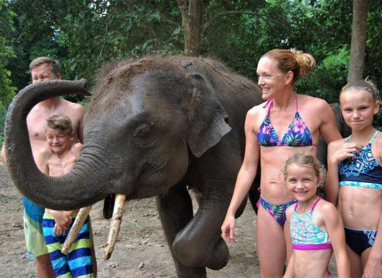 Chiangmai Elephant home - One day Elephant Experience and Doi Inthanon - Elephant close up