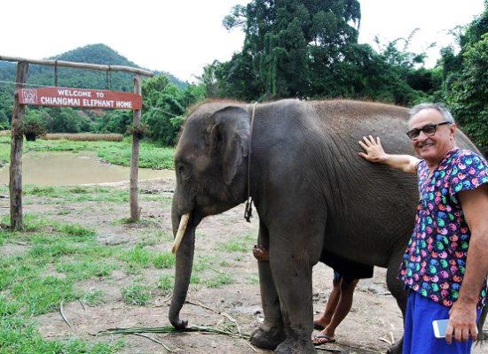 Chiang Mai Elephant Home - 16 Aug 2018 - Half day Morning - Group photos