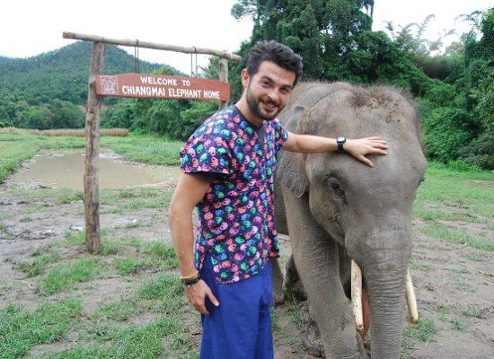 Chiangmai Elephant Home - One day Elephant Experience