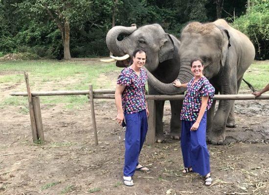 Chiang Mai Elephant Home - 3 Sep 2018 - Half day Afternoon - Group photos