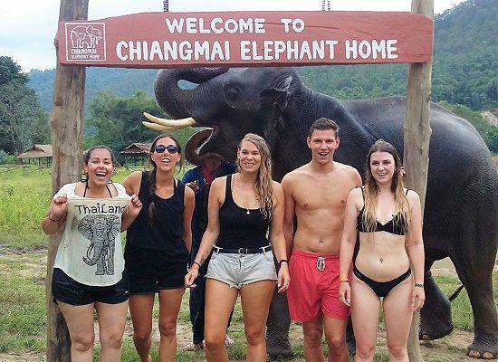 Chiang Mai Elephant Home - 6 Sep 2018 - Half day Morning - Group photos