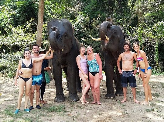 Chiang Mai Elephant Home - 1 Oct 2018 - Half day Morning - Group photos