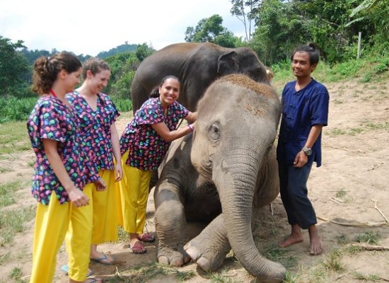 Chiang Mai Elephant Home - 10 Oct 2018 - Full Day Experience - Group photos