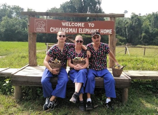 Chiang Mai Elephant Home - 10 Oct 2018 - Half day Morning - Group photos