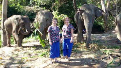 Chiangmai Elephant Home - Half Day Morning Elephant Experience