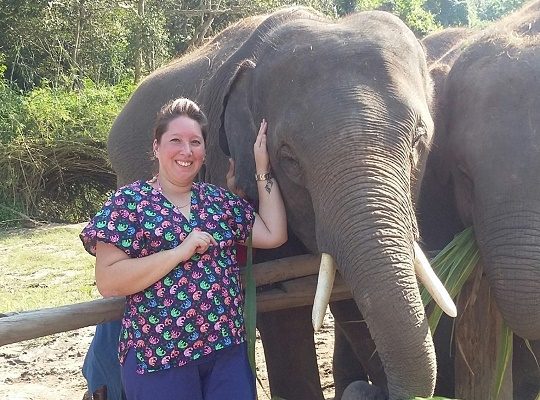 Chiang Mai Elephant Home - 4 Oct 2018 - Half day Afternoon - Group photos