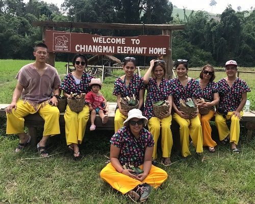 Chiang Mai Elephant Home - 6 Oct 2018 - Full Day Experience - Group photos