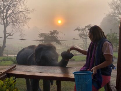 Chiang Mai Elephant home - Bamboo House - บ้านไม้ไผ่ - Maewang - Elephant Morning call