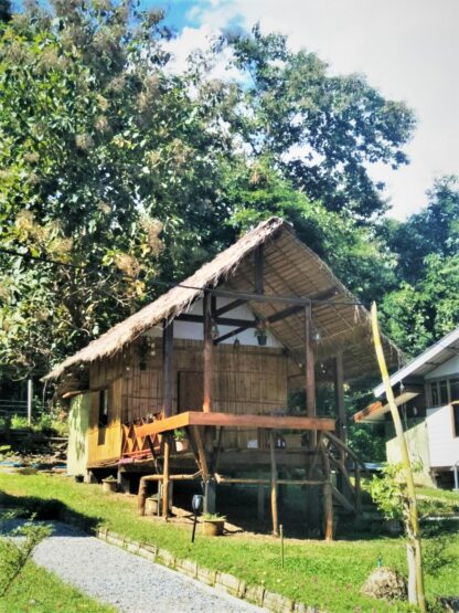 Chiang Mai Elephant home - Bamboo House - บ้านไม้ไผ่ - Maewang