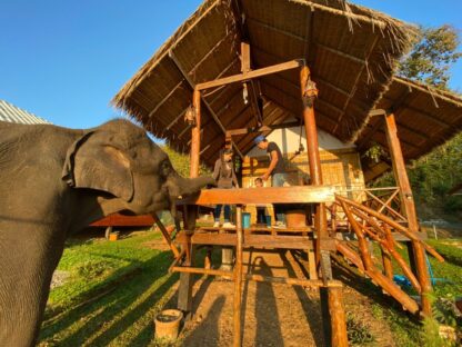Chiang Mai Elephant home - Bamboo House - บ้านไม้ไผ่ - Maewang - Feed Elephant