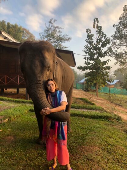 Chiang Mai Elephant home - Family House - Maewang - Hugging Elephant