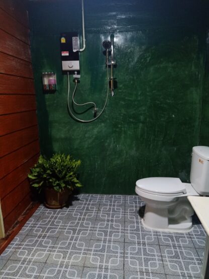 Chiang Mai Elephant home - Family House - Maewang - Toilet